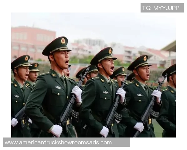 重庆排球队的拼搏历程与荣耀时刻全景纪实